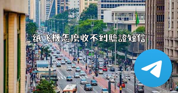 纸飞機怎麼收不到驗證短信