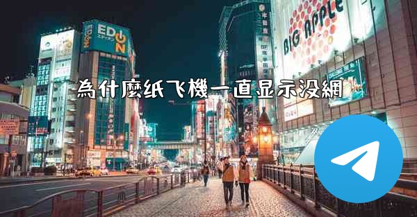 為什麼纸飞機一直显示没網