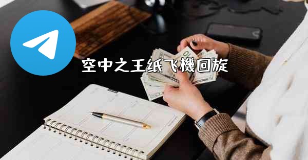 空中之王纸飞機回旋