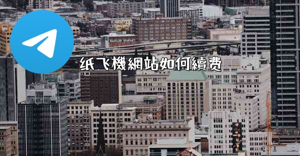 纸飞機網站如何續费