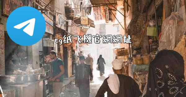 tg纸飞機官網網址