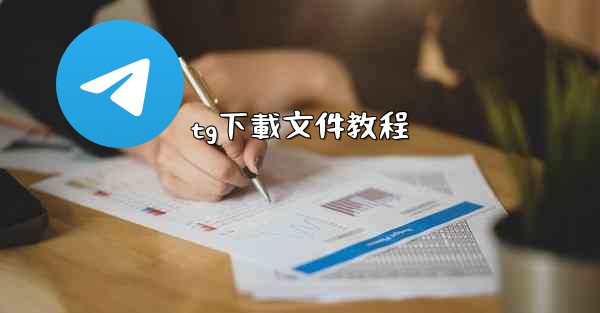 tg下載文件教程