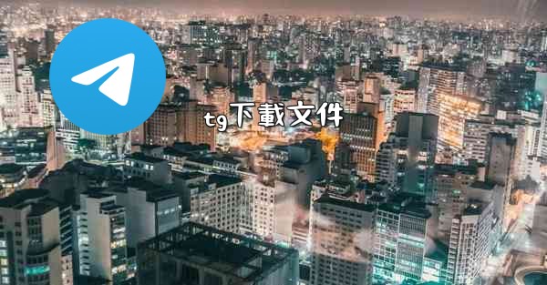 tg下載文件