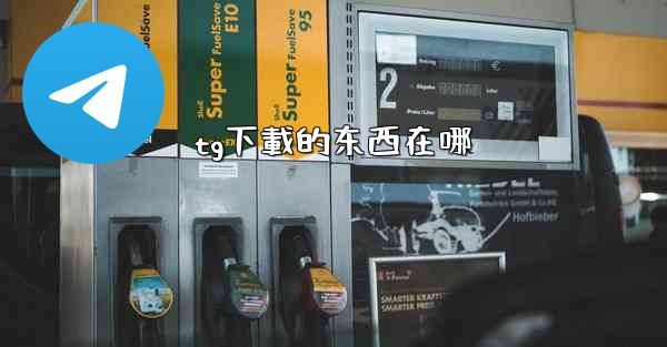 tg下載的东西在哪