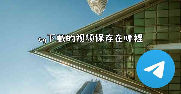 tg下載的视频保存在哪裡