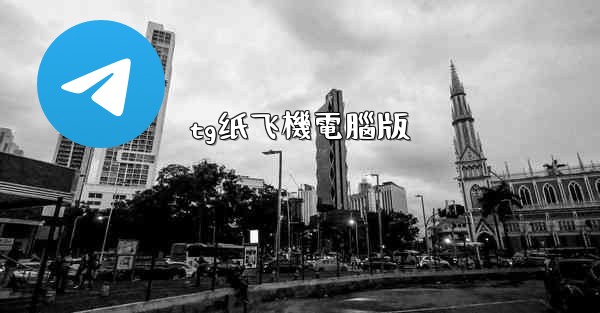 tg纸飞機電腦版
