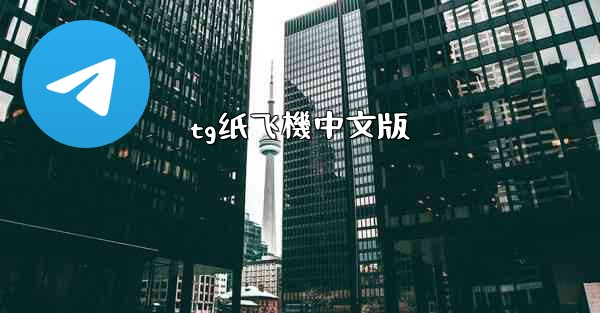 tg纸飞機中文版