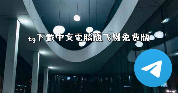 tg下載中文電腦版飞機免费版