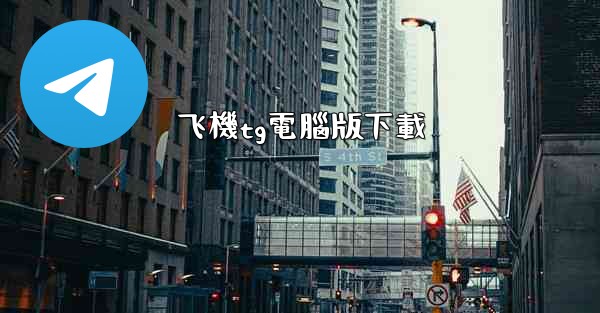 飞機tg電腦版下載