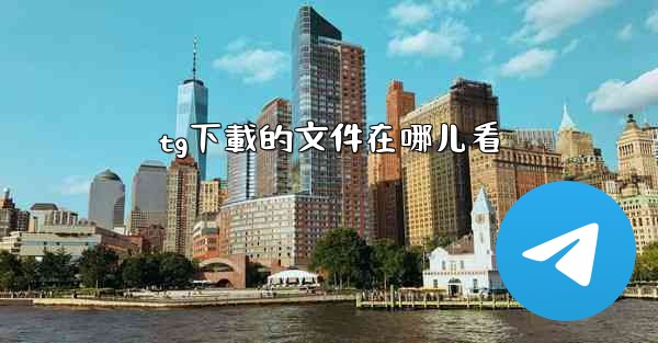 tg下載的文件在哪儿看