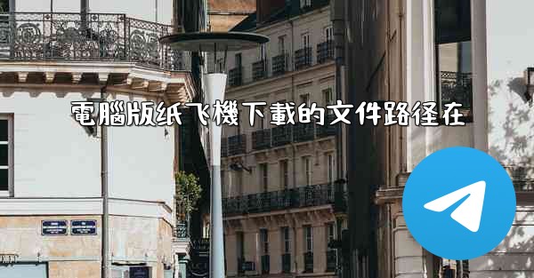 電腦版纸飞機下載的文件路径在