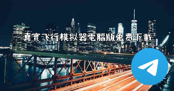 真實飞行模拟器電腦版免费下載