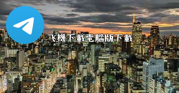 飞機下載電腦版下載