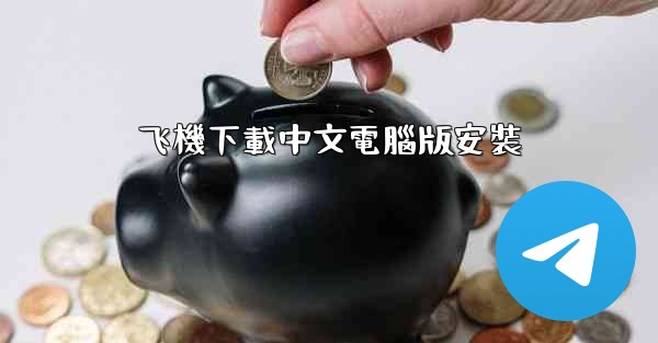 飞機下載中文電腦版安裝