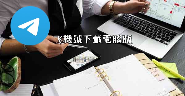 飞機號下載電腦版