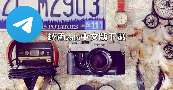 越南zalo中文版下載