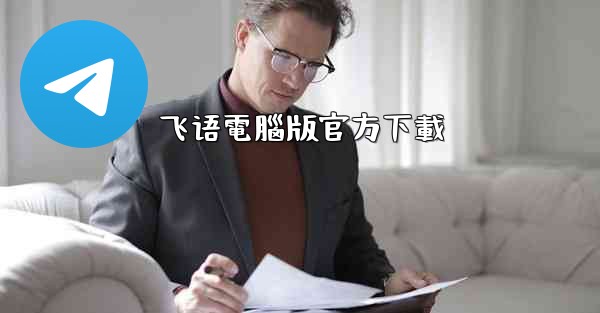 飞语電腦版官方下載