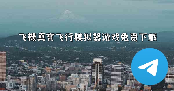 飞機真實飞行模拟器游戏免费下載