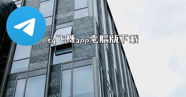 tg飞機app電腦版下載