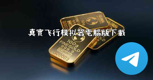 真實飞行模拟器電腦版下載