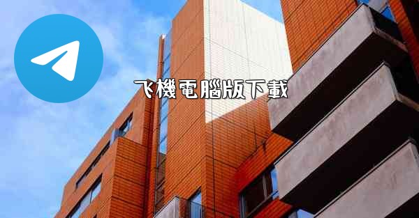 飞機電腦版下載