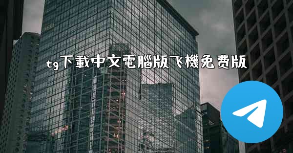 tg下載中文電腦版飞機免费版