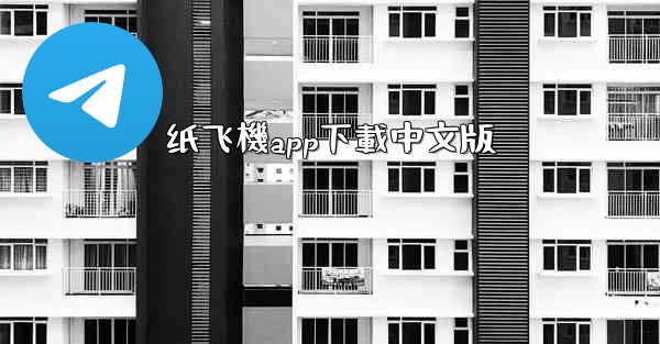 纸飞機app下載中文版