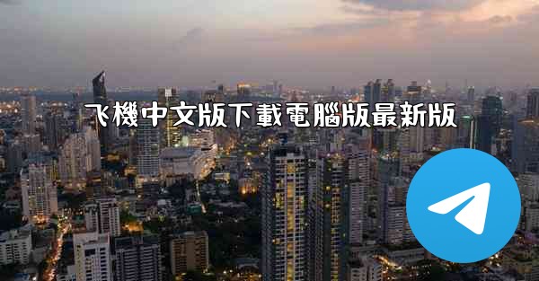 飞機中文版下載電腦版最新版