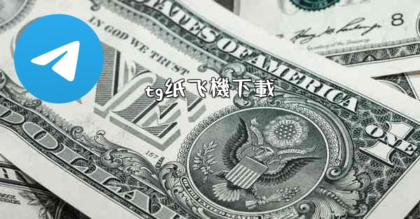 tg纸飞機下載