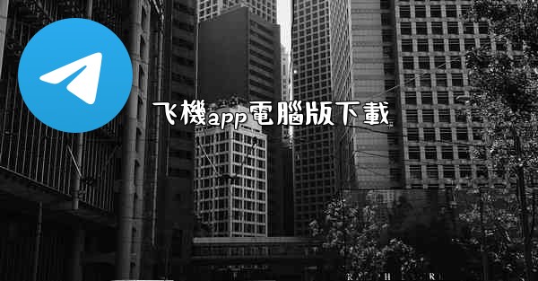 飞機app電腦版下載