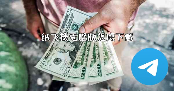 纸飞機電腦版怎麼下載