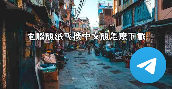 電腦版纸飞機中文版怎麼下載