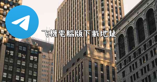 飞機電腦版下載地址