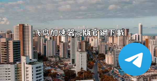 飞鸟加速器pc版官網下載