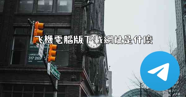 飞機電腦版下載網址是什麼