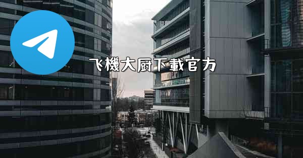 飞機大厨下載官方