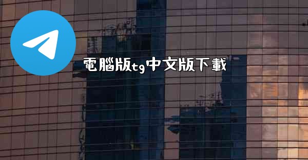 電腦版tg中文版下載
