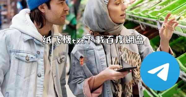 纸飞機txt下載百度網盘