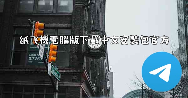 纸飞機電腦版下載中文安裝包官方