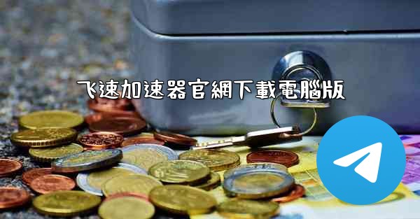 飞速加速器官網下載電腦版