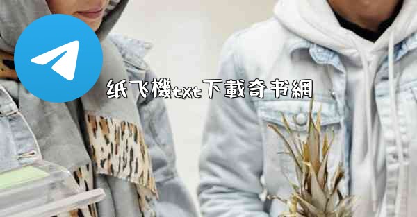 纸飞機txt下載奇书網