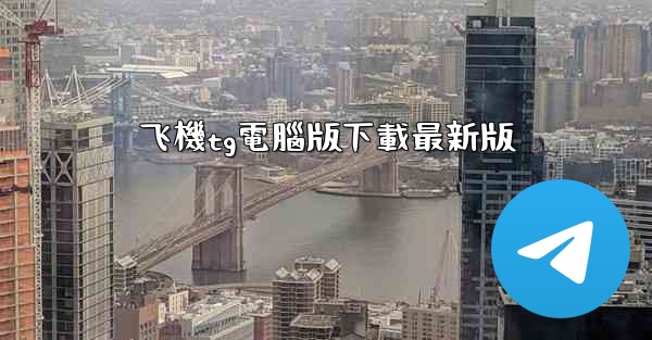 飞機tg電腦版下載最新版