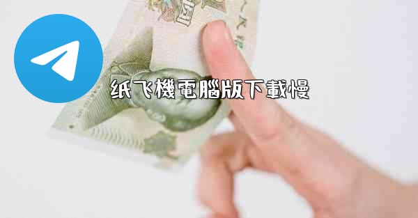 纸飞機電腦版下載慢
