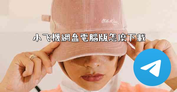 小飞機網盘電腦版怎麼下載