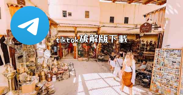 tiktok破解版下載