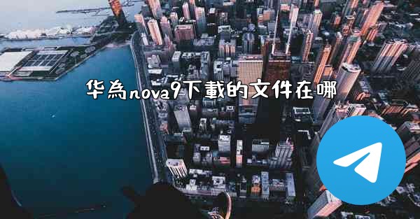 华為nova9下載的文件在哪