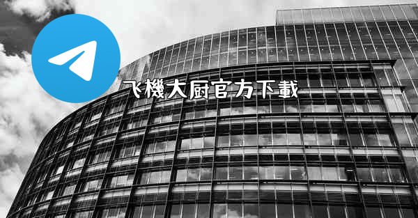 飞機大厨官方下載