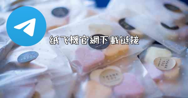 纸飞機官網下載链接