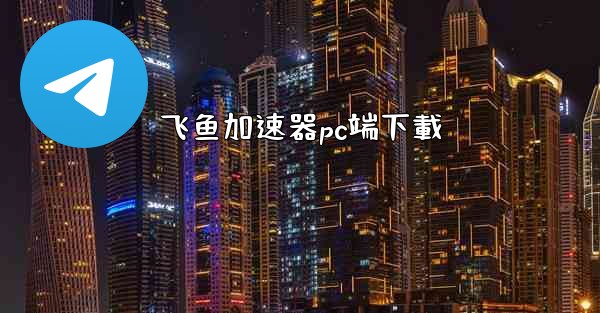 飞鱼加速器pc端下載