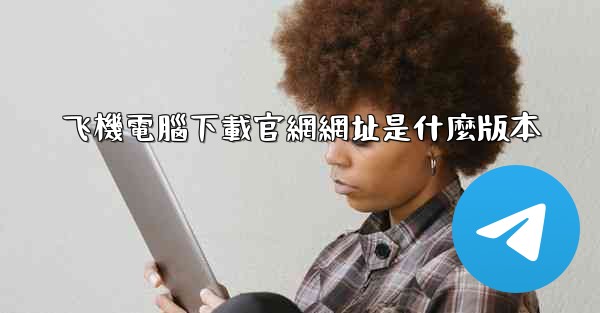 飞機電腦下載官網網址是什麼版本
